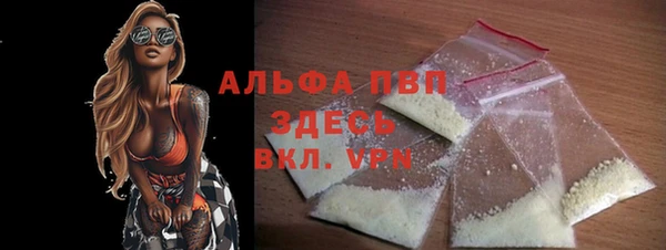 метадон Богданович