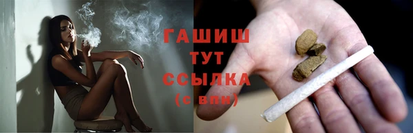метадон Богданович