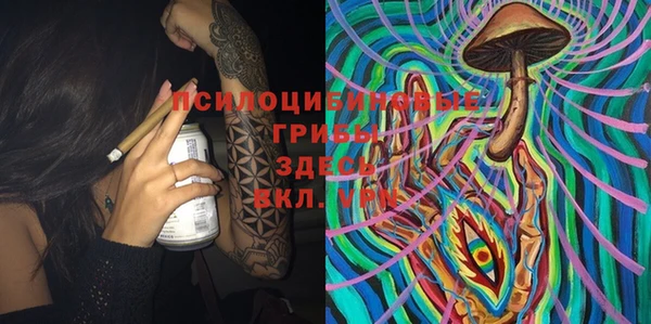 круглые Богородицк