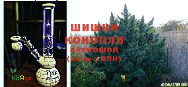 метадон Богданович