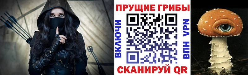 Галлюциногенные грибы Psilocybine cubensis  мега зеркало  Будённовск  магазин  наркотиков 
